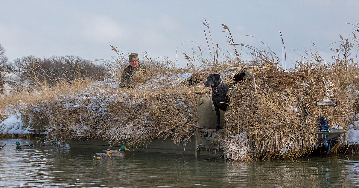 Dream Boats Ducks Unlimited